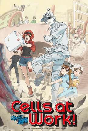 Anime Hataraku Saibou - Cells at Work 2018