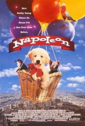 Filme Napoleon, as Aventuras de um Cãozinho Valente 1995