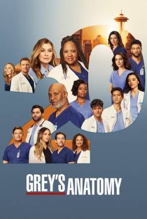 Série Anatomia de Grey - 20ª Temporada Legendada 2024