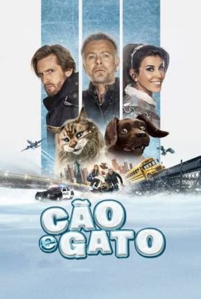 Filme Cão e Gato 2024