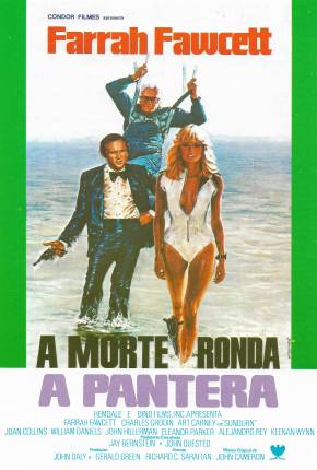 Filme A Morte Ronda a Pantera / Sunburn 1979